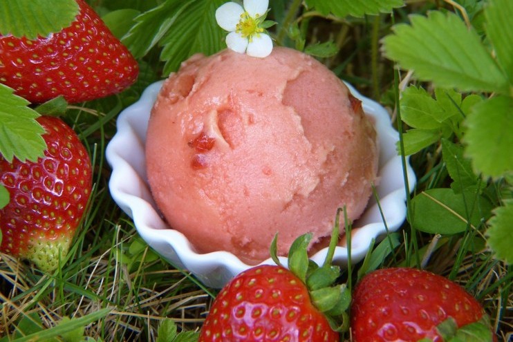Préparer des glaces maison avec ces 3 sorbetières